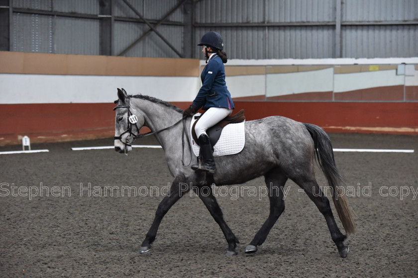 DSP 8501 
 STEPHEN HAMMOND PHOTOGRAPHY, FINDON DRESSAGE FEB 2020