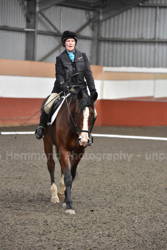 DSP 8456 
 STEPHEN HAMMOND PHOTOGRAPHY, FINDON DRESSAGE FEB 2020