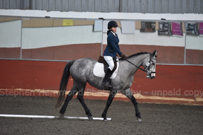 DSP 8503 
 STEPHEN HAMMOND PHOTOGRAPHY, FINDON DRESSAGE FEB 2020