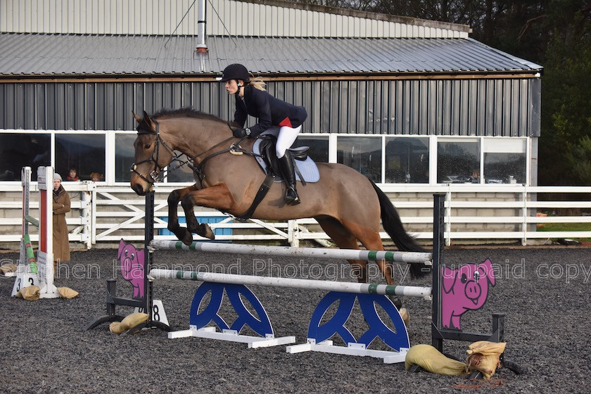 DSP 7976 
 STEPHEN HAMMOND PHOTOGRAPHY, FINDON DRESSAGE 2020