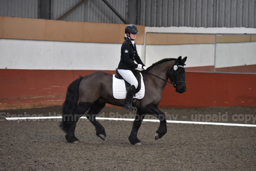 DSP 8480 
 STEPHEN HAMMOND PHOTOGRAPHY, FINDON DRESSAGE FEB 2020