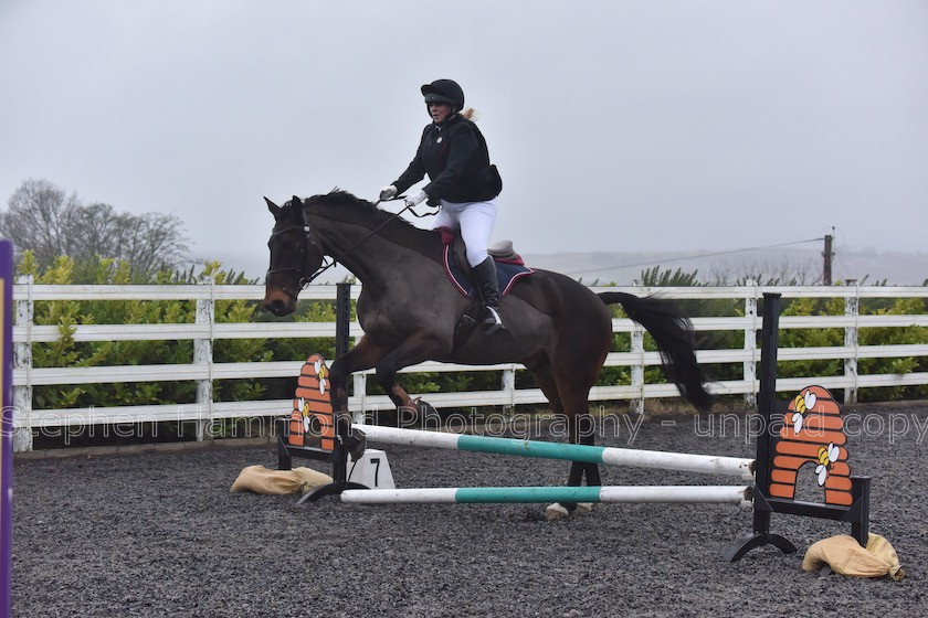 DSP 7709 
 STEPHEN HAMMOND PHOTOGRAPHY, FINDON DRESSAGE 2020