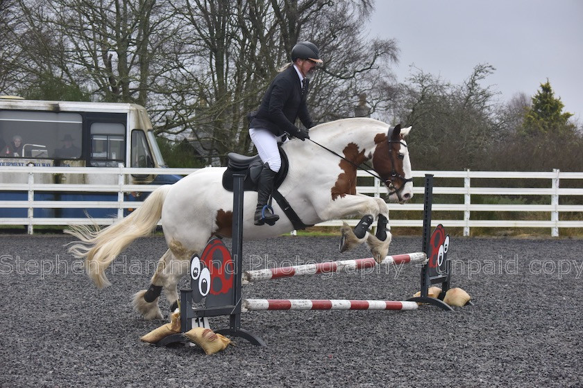 DSP 7733 
 STEPHEN HAMMOND PHOTOGRAPHY, FINDON DRESSAGE 2020