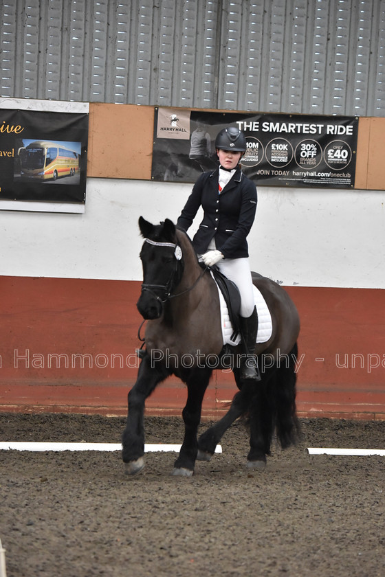 DSP 8486 
 STEPHEN HAMMOND PHOTOGRAPHY, FINDON DRESSAGE FEB 2020