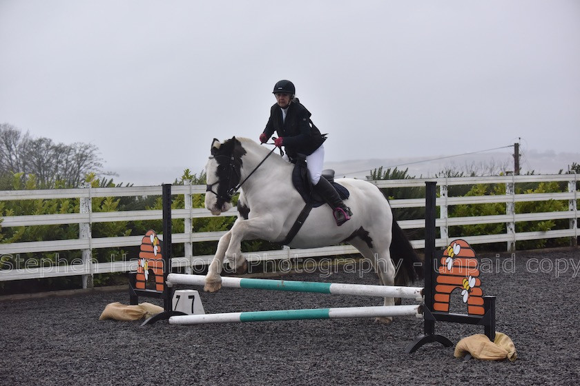 DSP 7673 
 STEPHEN HAMMOND PHOTOGRAPHY, FINDON DRESSAGE 2020