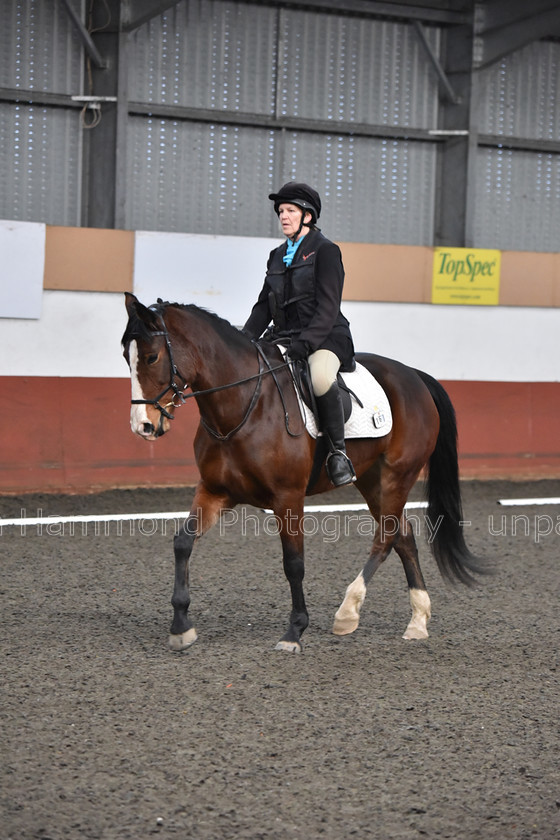 DSP 8448 
 STEPHEN HAMMOND PHOTOGRAPHY, FINDON DRESSAGE FEB 2020