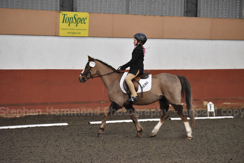 DSP 8425 
 STEPHEN HAMMOND PHOTOGRAPHY, FINDON DRESSAGE FEB 2020