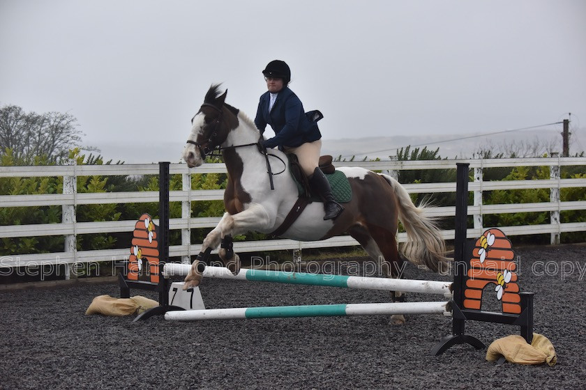 DSP 7667 
 STEPHEN HAMMOND PHOTOGRAPHY, FINDON DRESSAGE 2020