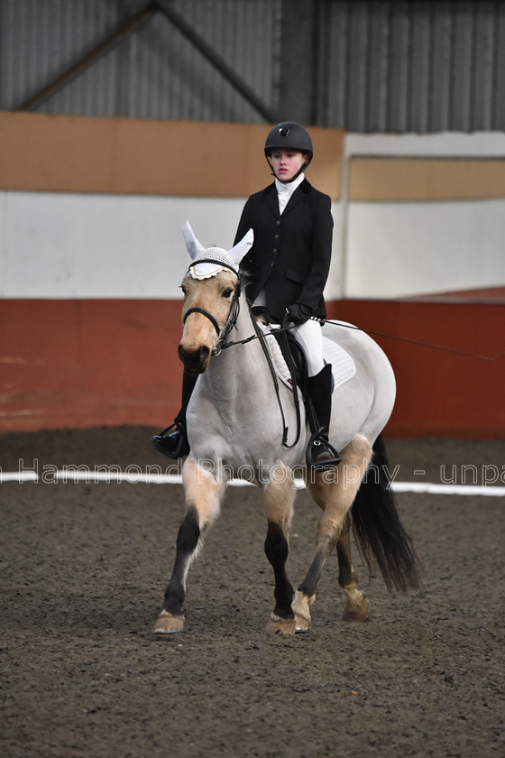 DSP 8444 
 STEPHEN HAMMOND PHOTOGRAPHY, FINDON DRESSAGE FEB 2020