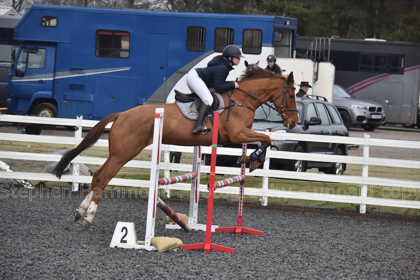 DSP 7880 
 STEPHEN HAMMOND PHOTOGRAPHY, FINDON DRESSAGE 2020