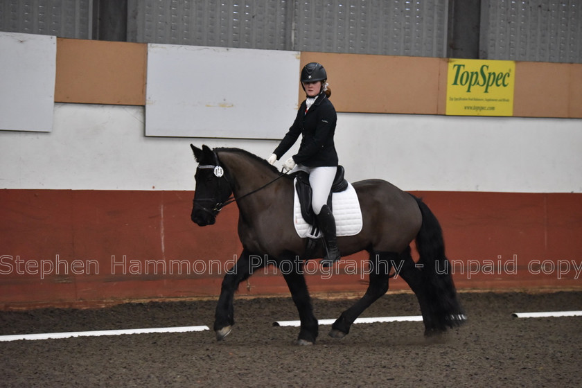 DSP 8488 
 STEPHEN HAMMOND PHOTOGRAPHY, FINDON DRESSAGE FEB 2020