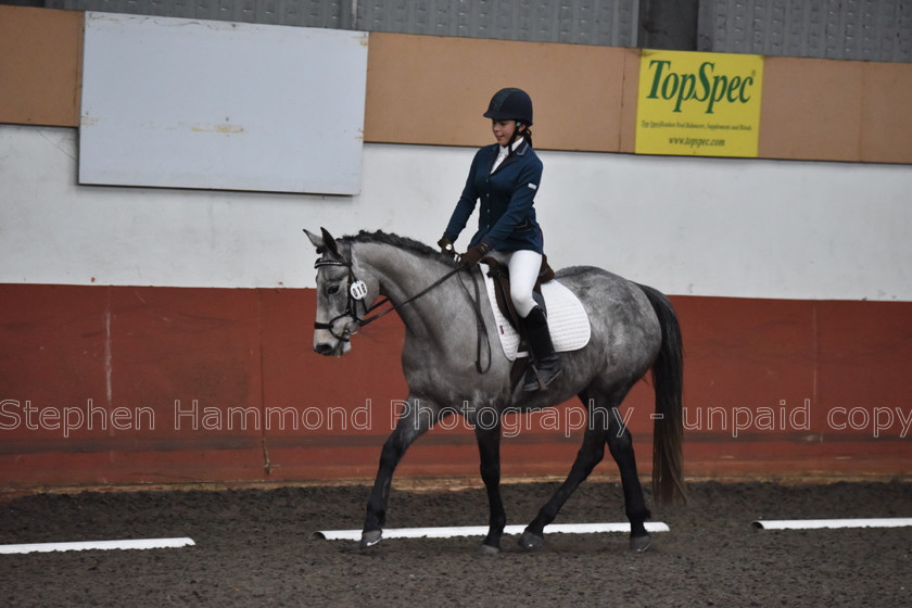 DSP 8506 
 STEPHEN HAMMOND PHOTOGRAPHY, FINDON DRESSAGE FEB 2020