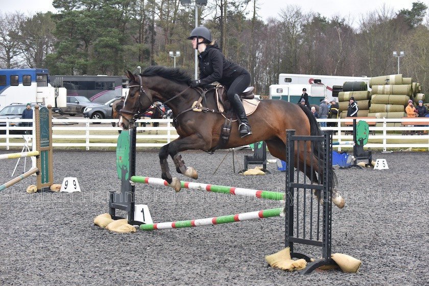 DSP 7900 
 STEPHEN HAMMOND PHOTOGRAPHY, FINDON DRESSAGE 2020