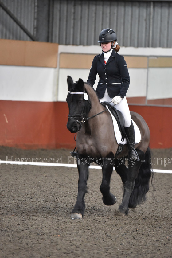 DSP 8478 
 STEPHEN HAMMOND PHOTOGRAPHY, FINDON DRESSAGE FEB 2020