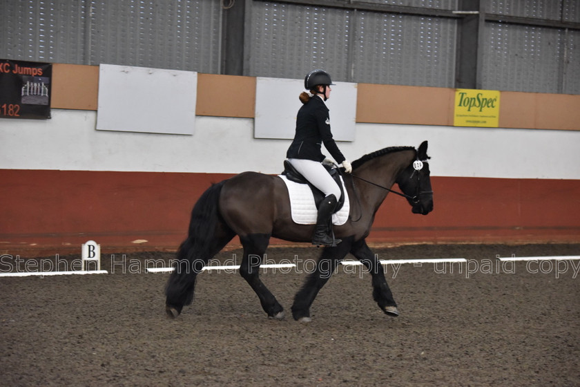 DSP 8493 
 STEPHEN HAMMOND PHOTOGRAPHY, FINDON DRESSAGE FEB 2020