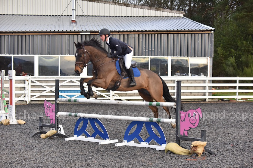 DSP 8013 
 STEPHEN HAMMOND PHOTOGRAPHY, FINDON DRESSAGE 2020