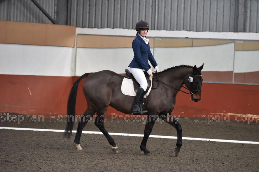 DSP 8466 
 STEPHEN HAMMOND PHOTOGRAPHY, FINDON DRESSAGE FEB 2020