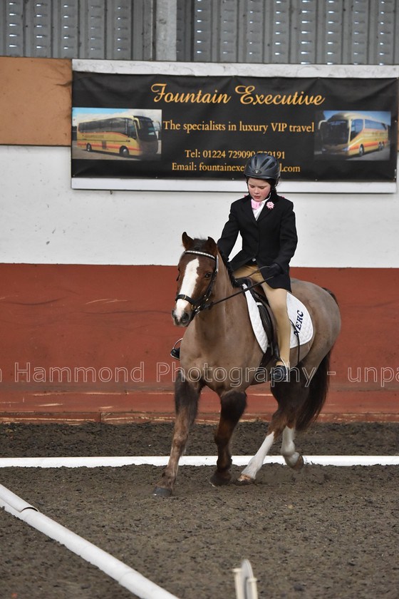 DSP 8424 
 STEPHEN HAMMOND PHOTOGRAPHY, FINDON DRESSAGE FEB 2020