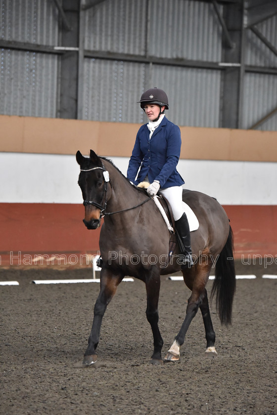 DSP 8463 
 STEPHEN HAMMOND PHOTOGRAPHY, FINDON DRESSAGE FEB 2020