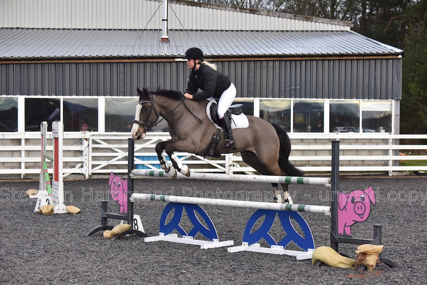 DSP 8028 
 STEPHEN HAMMOND PHOTOGRAPHY, FINDON DRESSAGE 2020