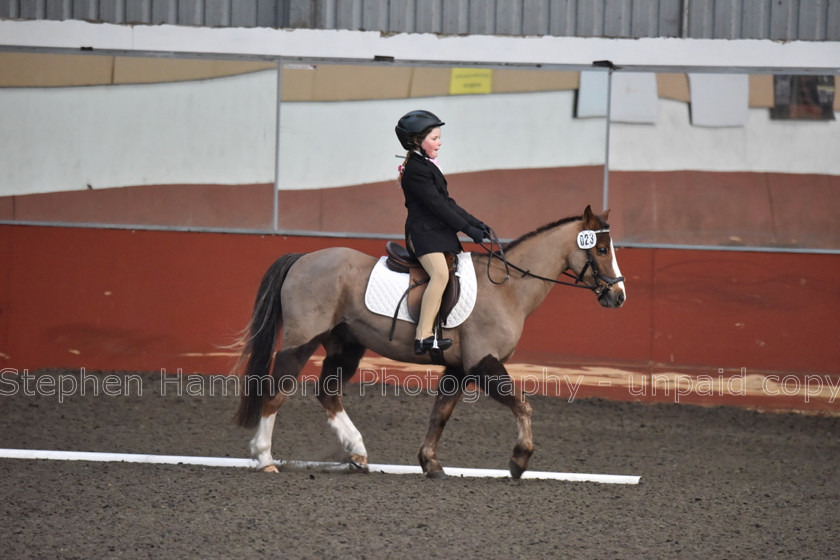 DSP 8420 
 STEPHEN HAMMOND PHOTOGRAPHY, FINDON DRESSAGE FEB 2020