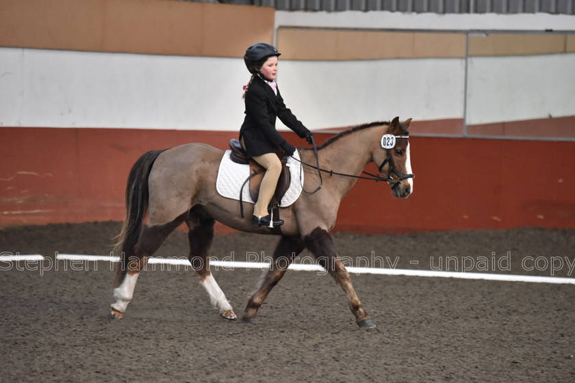 DSP 8416 
 STEPHEN HAMMOND PHOTOGRAPHY, FINDON DRESSAGE FEB 2020