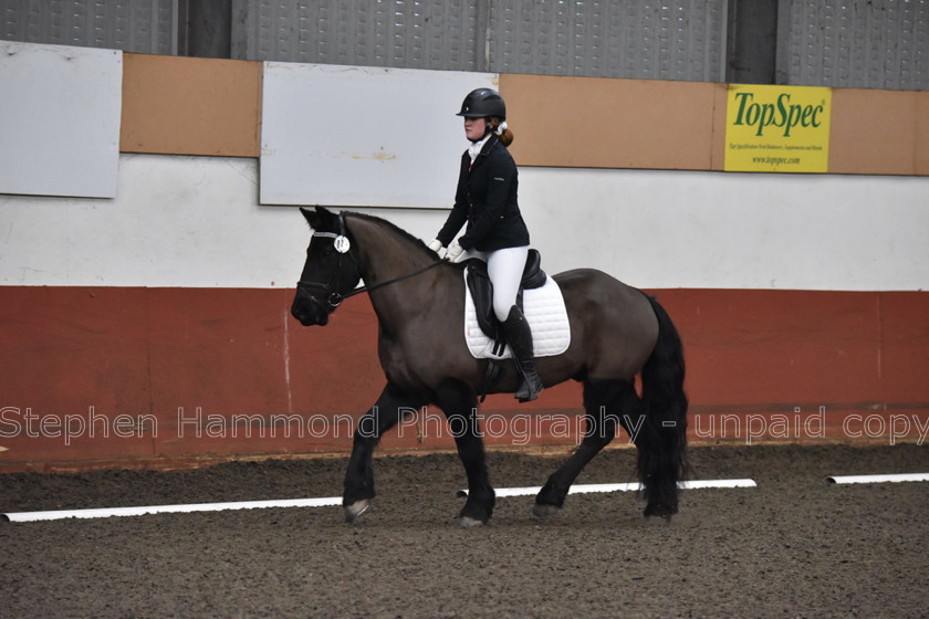 DSP 8485 
 STEPHEN HAMMOND PHOTOGRAPHY, FINDON DRESSAGE FEB 2020