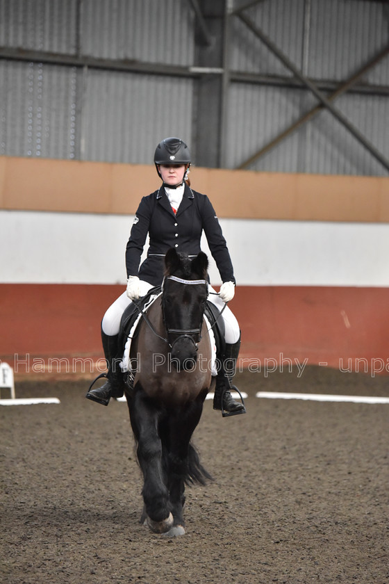 DSP 8490 
 STEPHEN HAMMOND PHOTOGRAPHY, FINDON DRESSAGE FEB 2020