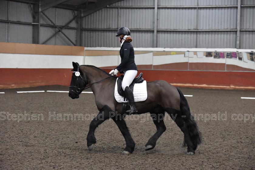 DSP 8482 
 STEPHEN HAMMOND PHOTOGRAPHY, FINDON DRESSAGE FEB 2020