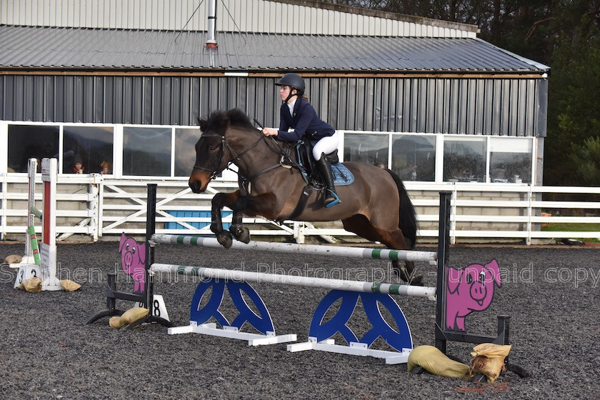 DSP 7955 
 STEPHEN HAMMOND PHOTOGRAPHY, FINDON DRESSAGE 2020