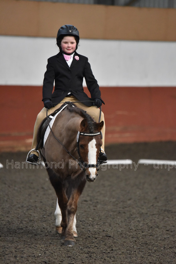 DSP 8428 
 STEPHEN HAMMOND PHOTOGRAPHY, FINDON DRESSAGE FEB 2020