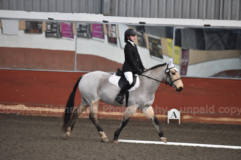 DSP 8439 
 STEPHEN HAMMOND PHOTOGRAPHY, FINDON DRESSAGE FEB 2020