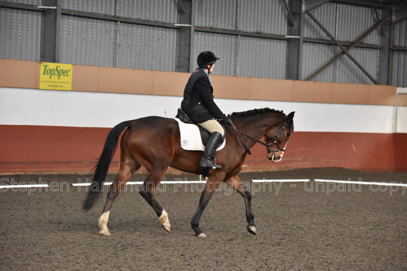 DSP 8458 
 STEPHEN HAMMOND PHOTOGRAPHY, FINDON DRESSAGE FEB 2020