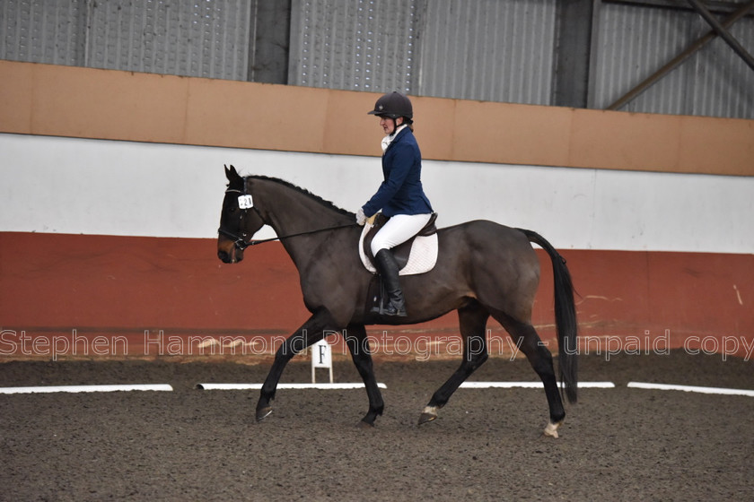 DSP 8471 
 STEPHEN HAMMOND PHOTOGRAPHY, FINDON DRESSAGE FEB 2020