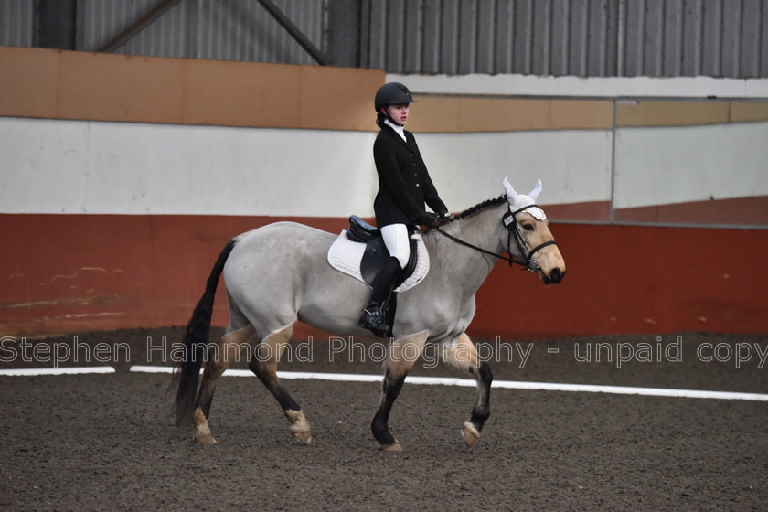 DSP 8436 
 STEPHEN HAMMOND PHOTOGRAPHY, FINDON DRESSAGE FEB 2020