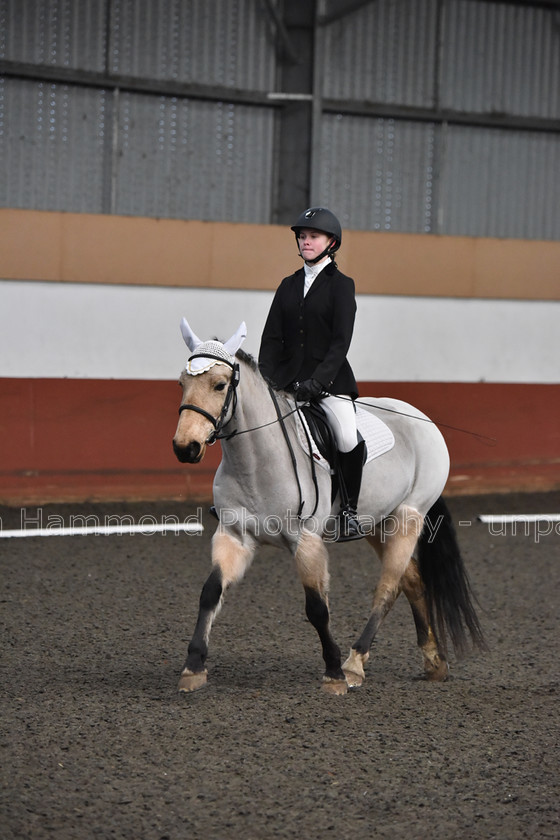 DSP 8434 
 STEPHEN HAMMOND PHOTOGRAPHY, FINDON DRESSAGE FEB 2020