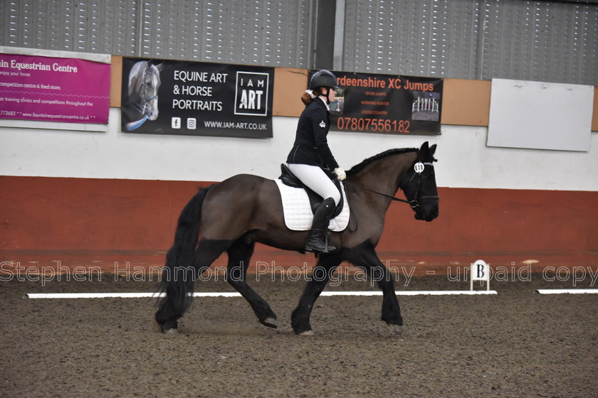 DSP 8491 
 STEPHEN HAMMOND PHOTOGRAPHY, FINDON DRESSAGE FEB 2020