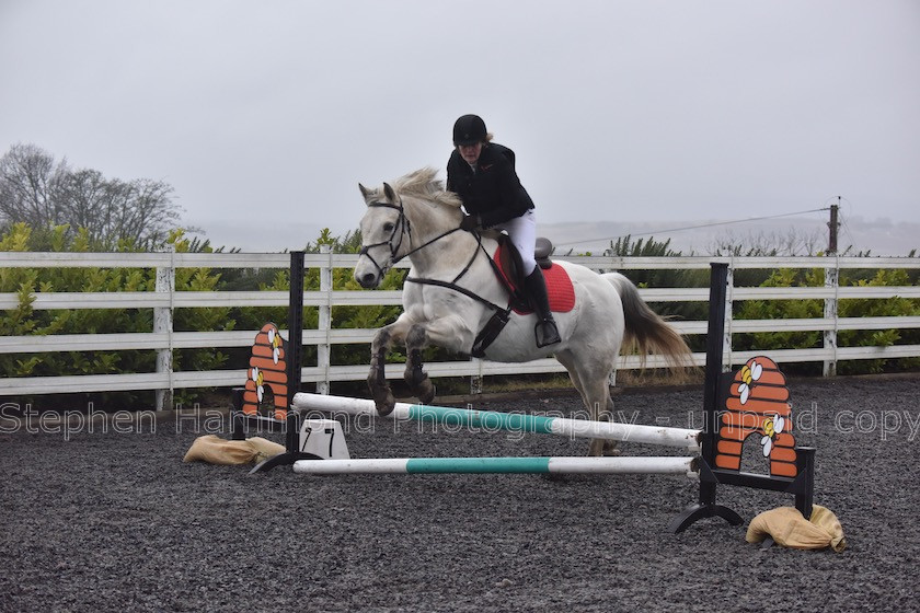 DSP 7679 
 STEPHEN HAMMOND PHOTOGRAPHY, FINDON DRESSAGE 2020