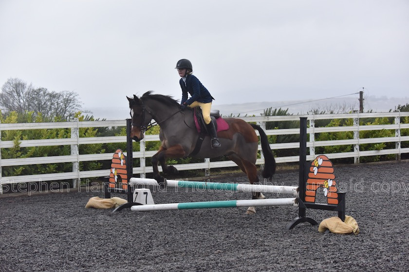 DSP 7661 
 STEPHEN HAMMOND PHOTOGRAPHY, FINDON DRESSAGE 2020