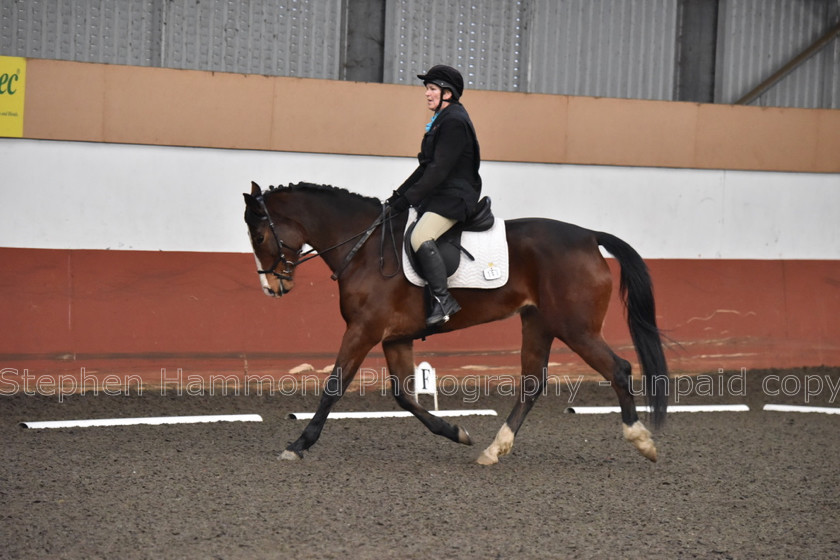 DSP 8454 
 STEPHEN HAMMOND PHOTOGRAPHY, FINDON DRESSAGE FEB 2020