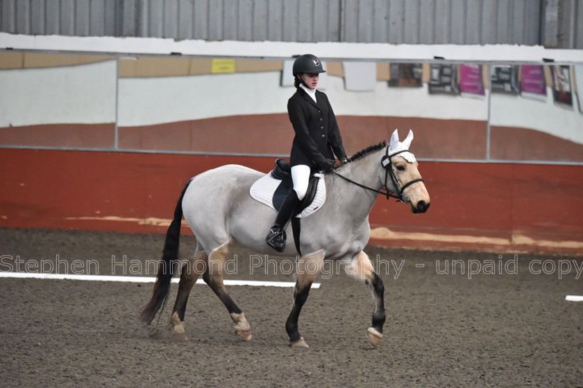 DSP 8437 
 STEPHEN HAMMOND PHOTOGRAPHY, FINDON DRESSAGE FEB 2020