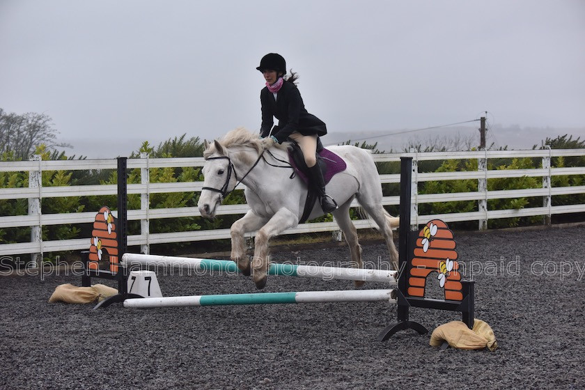 DSP 7703 
 STEPHEN HAMMOND PHOTOGRAPHY, FINDON DRESSAGE 2020