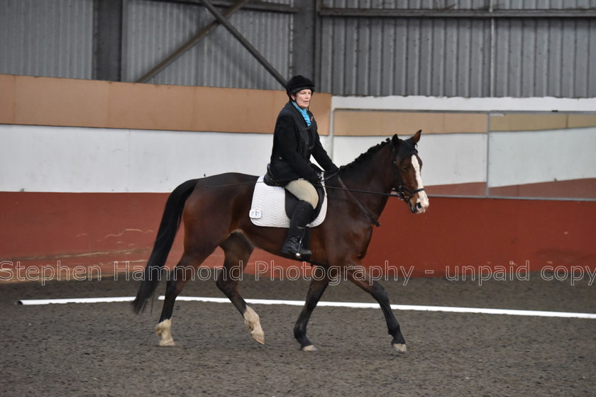 DSP 8449 
 STEPHEN HAMMOND PHOTOGRAPHY, FINDON DRESSAGE FEB 2020