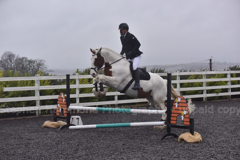 DSP 7731 
 STEPHEN HAMMOND PHOTOGRAPHY, FINDON DRESSAGE 2020