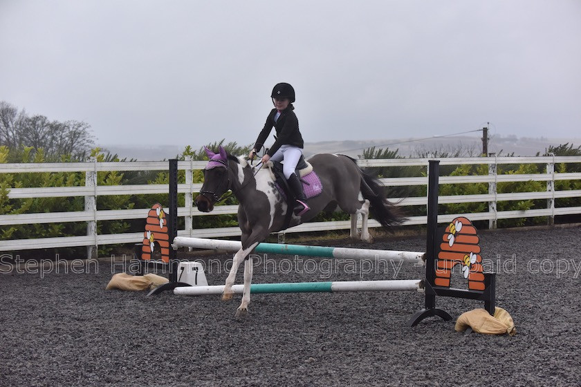 DSP 7747 
 STEPHEN HAMMOND PHOTOGRAPHY, FINDON DRESSAGE 2020