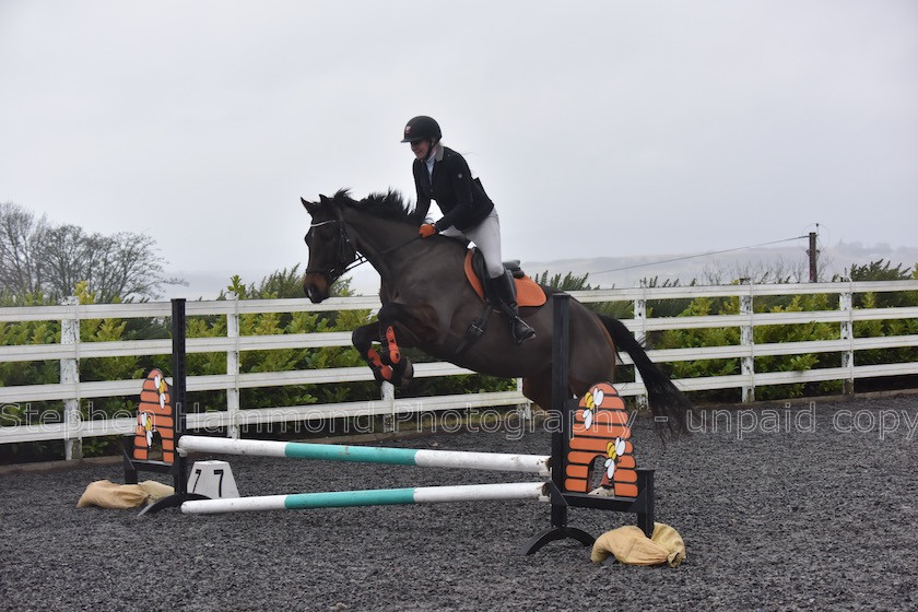 DSP 7653 
 STEPHEN HAMMOND PHOTOGRAPHY, FINDON DRESSAGE 2020