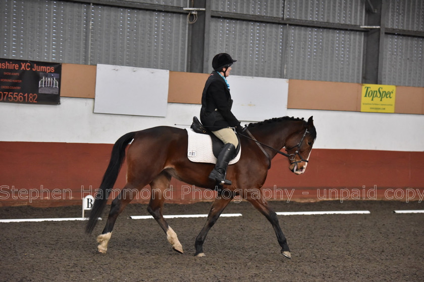 DSP 8457 
 STEPHEN HAMMOND PHOTOGRAPHY, FINDON DRESSAGE FEB 2020