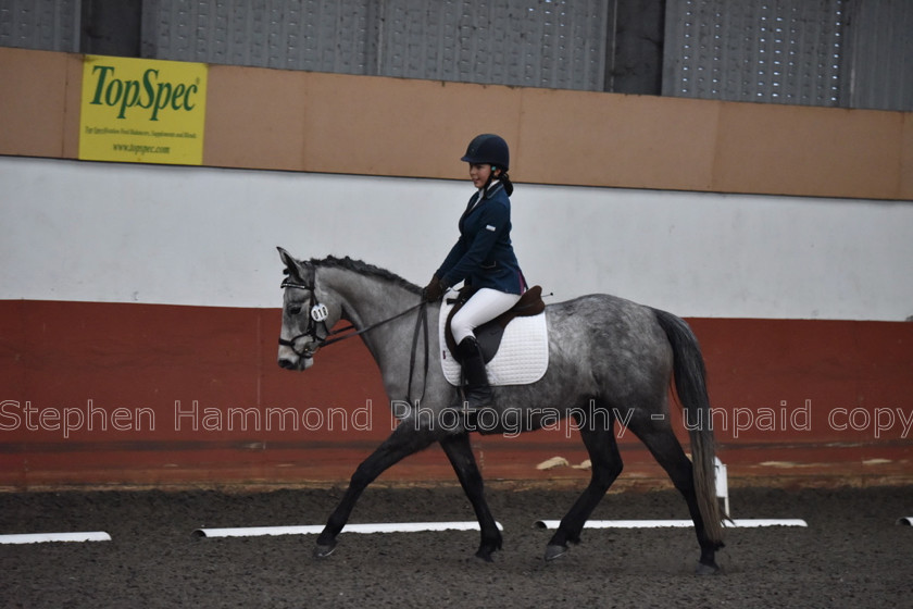 DSP 8505 
 STEPHEN HAMMOND PHOTOGRAPHY, FINDON DRESSAGE FEB 2020